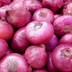 Onion