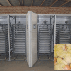 Hatchery